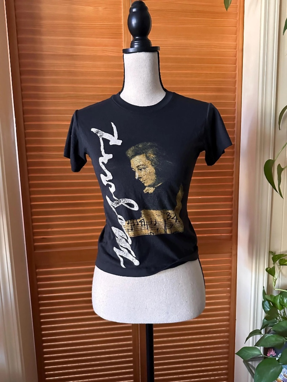 Vintage MOZART T-Shirt: BOISE Philharmonic, Sheer X-Small